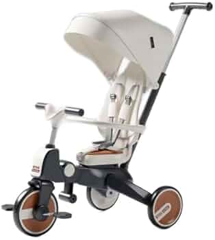 31HXg+f1O2L._AC_UF350,